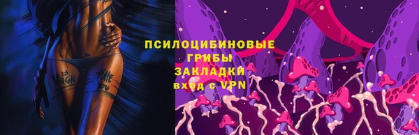 скорость Зеленокумск