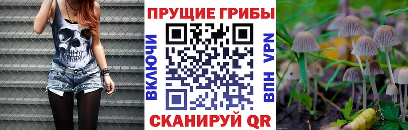 Купить закладки  Енисейск  Псилоцибиновые грибы ЛСД 